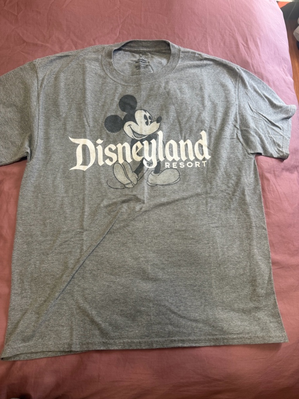 Disney Gray Disneyland Resort Mickey Mouse Short Sleeve Tee